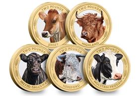 The Heritage Cattle Breeds Colour £2 Coin Set